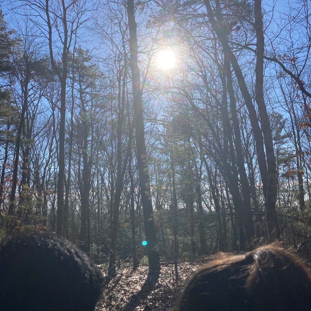 Meet your Posher, Bridget